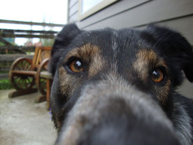 10515242_10152172344548053_3265985317513848496_o