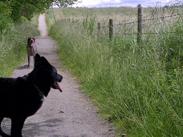 259974_10150200612878053_1001377_n