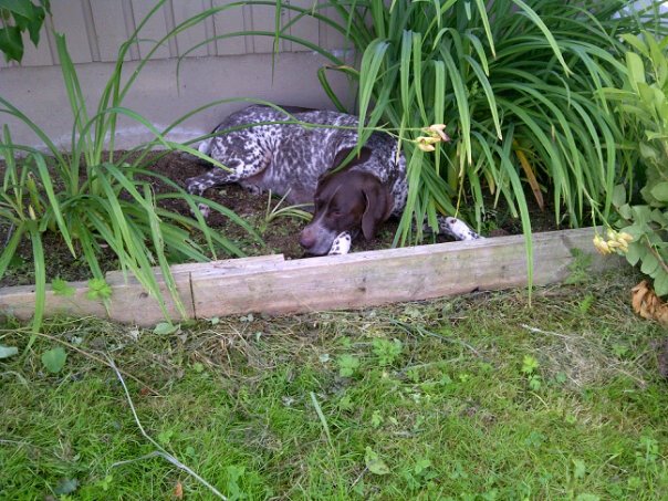 599668_10150910068738053_850635044_n