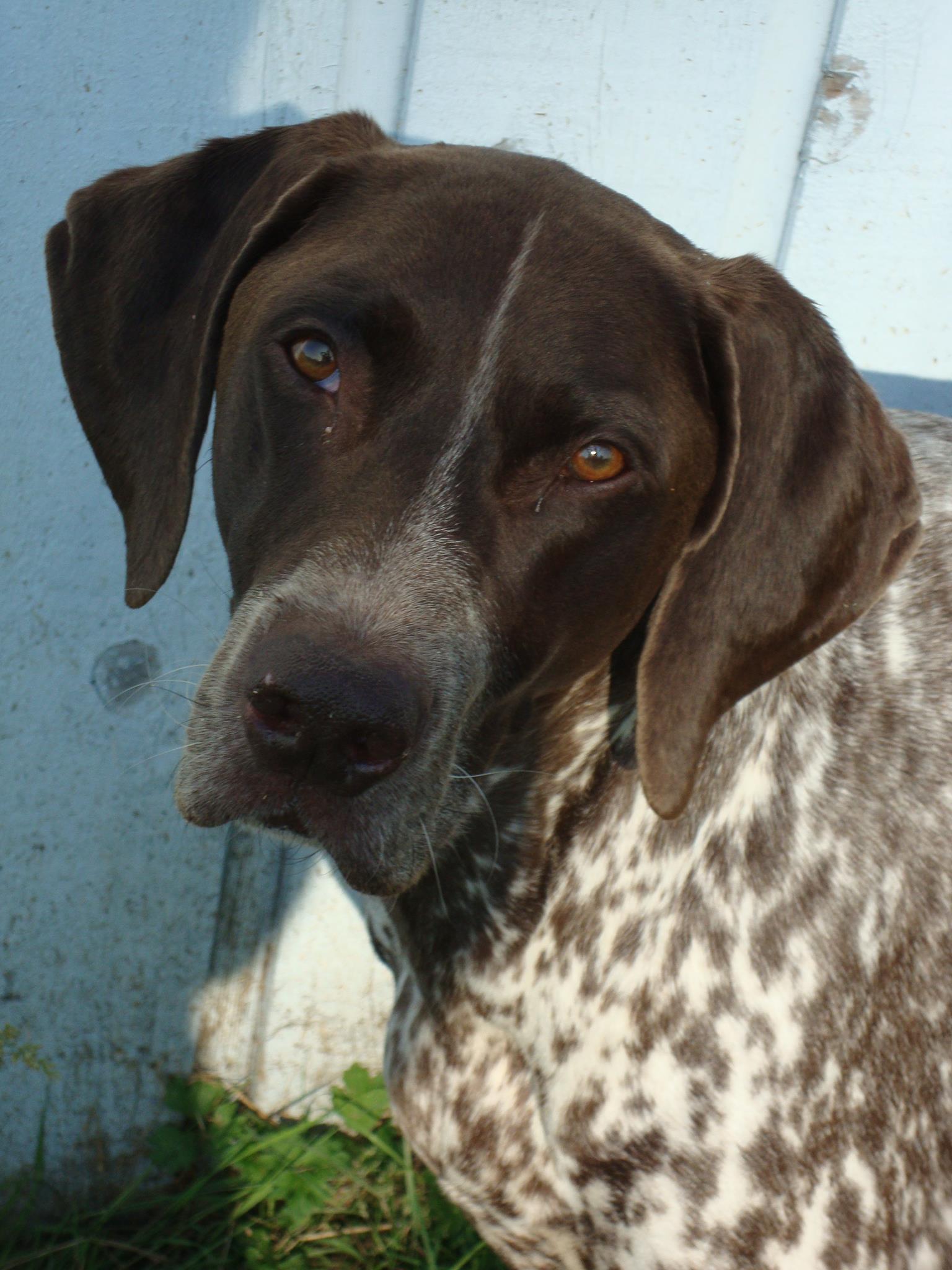 664963_295451370566214_268233744_o