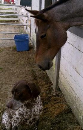 946576_10151495890513053_1561300322_n