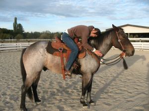 523850_10151256968856667_2146880480_n