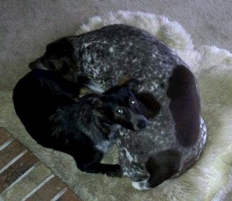 558125_10151360415838053_919449647_n (1)