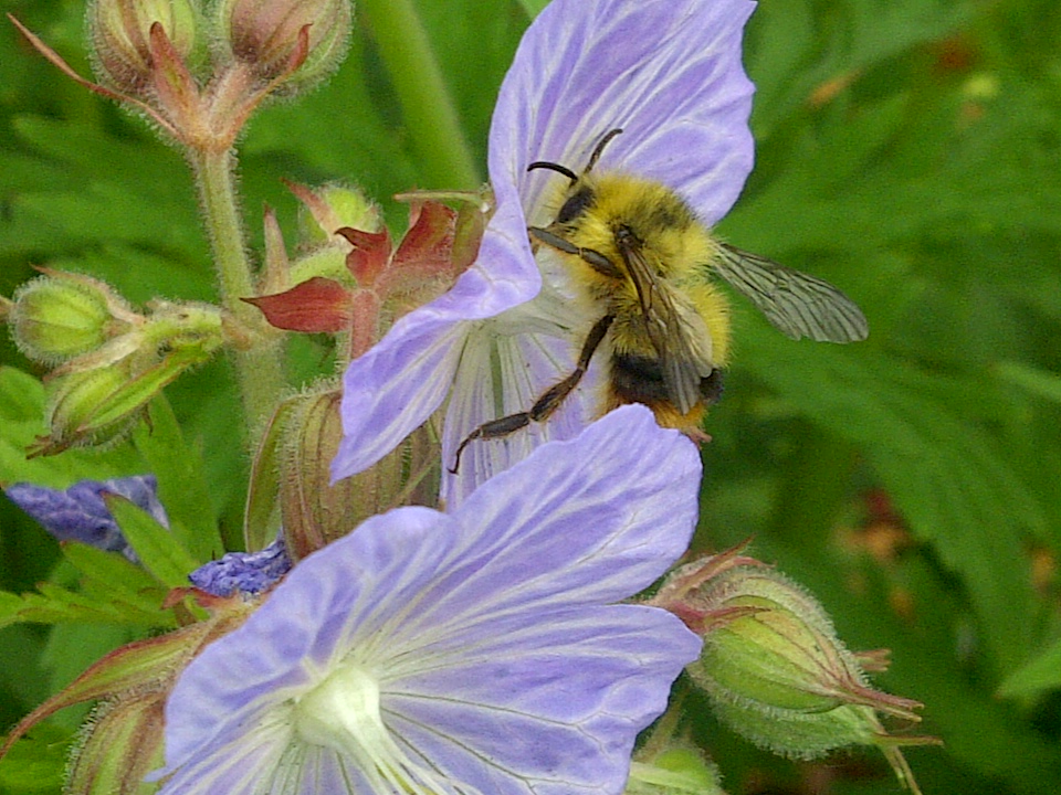 Langley-20120610-00716